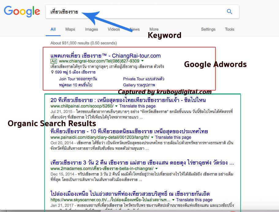 SEO & Google Adwords