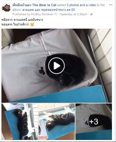 สอนทำเพจ ตัวอย่างโพสต์รูปและวิโีโอในโพสต์เดียวกัน