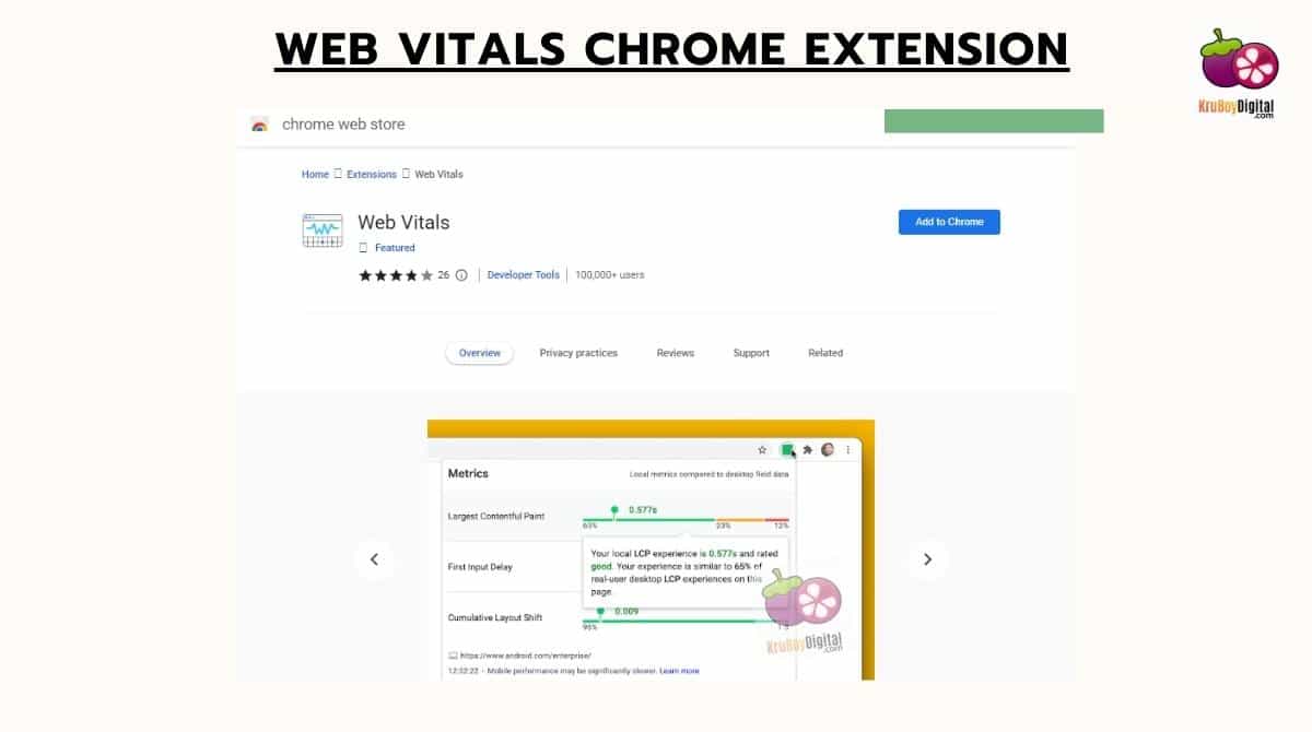 Web Vitals Extension